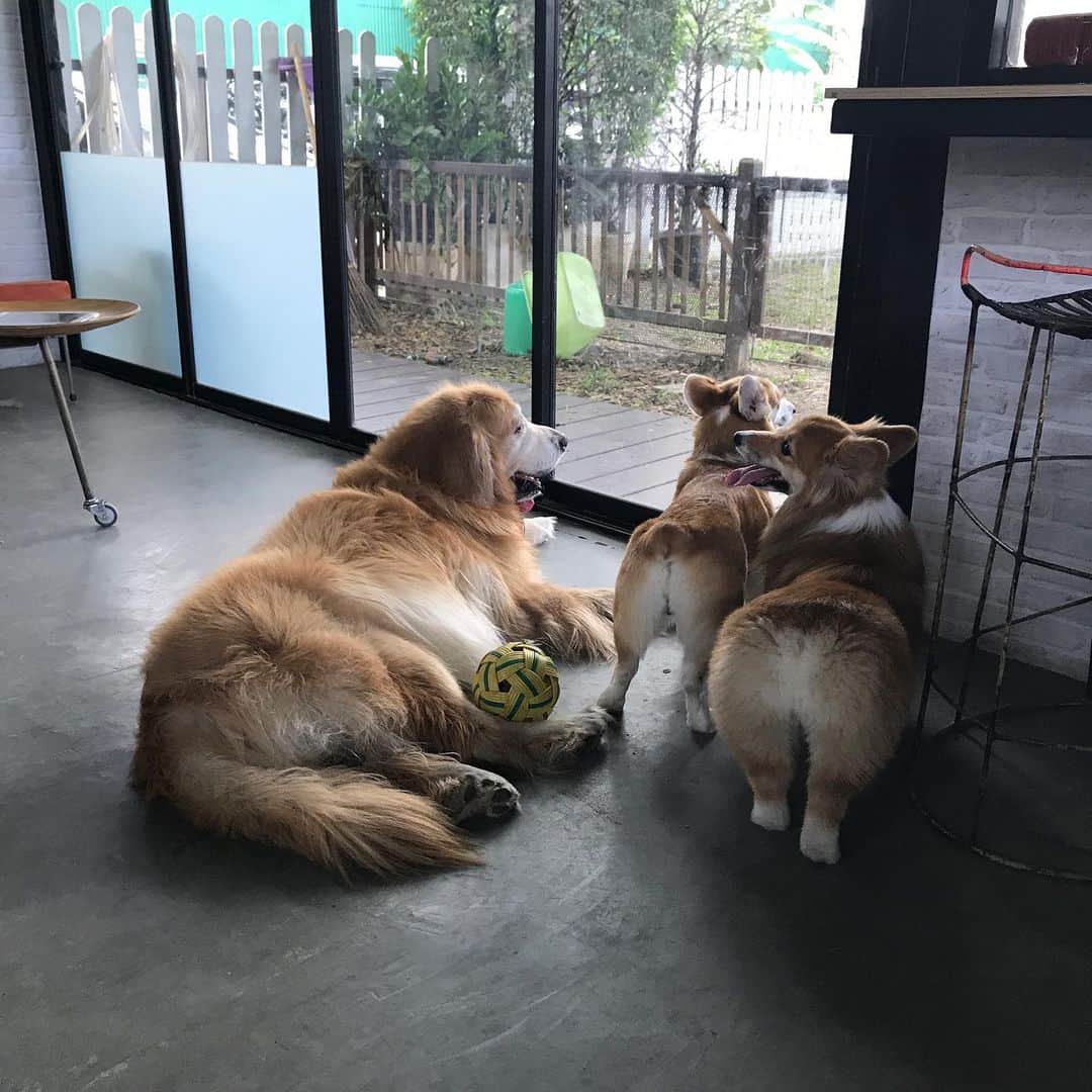 Hoykong&Plamuekのインスタグラム：「With my lovely sisssss」
