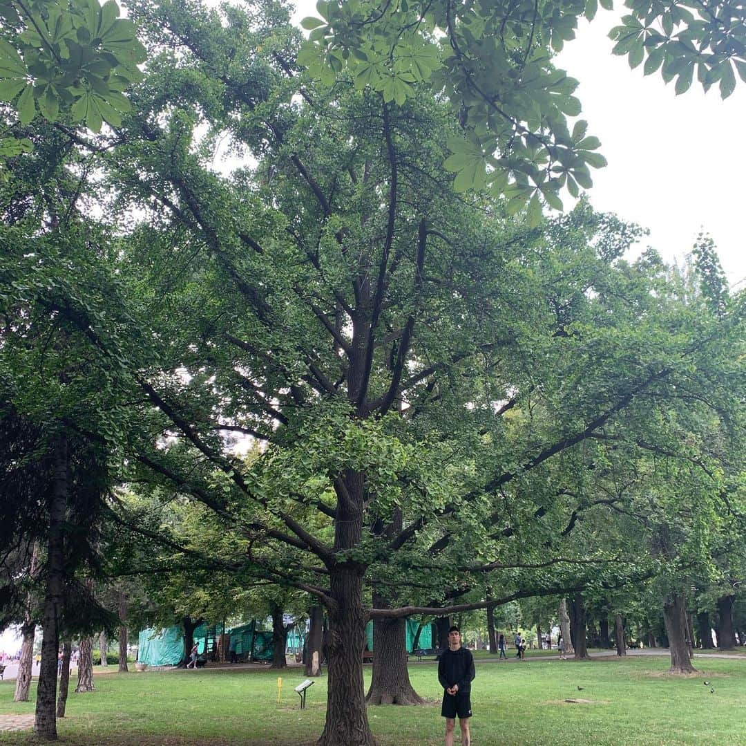 ケイト・ナッシュさんのインスタグラム写真 - (ケイト・ナッシュInstagram)「Belgrade 💚」7月14日 3時18分 - katenash