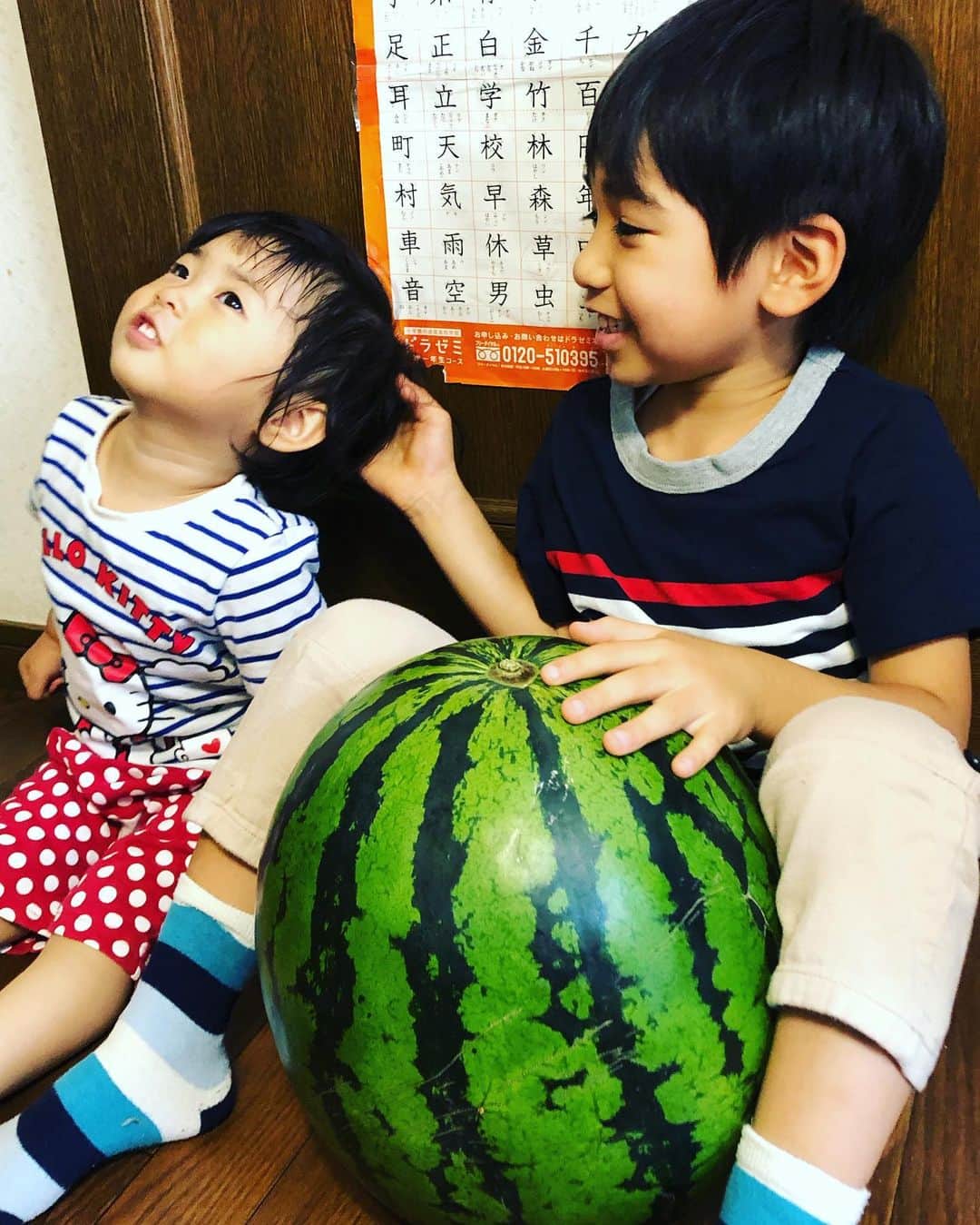 浅川稚広さんのインスタグラム写真 - (浅川稚広Instagram)「鳥取から今年も届いた、大きな大きな西瓜🍉🌟 重くて持ち上げられないくらい‼︎ 子供達と大きさ比較ー‼︎ この後、食べたら甘くてとっても美味しかったです♡  実家の父に、半分取りに来て〜💕🚗とお願いしていたけれど、息子君の食べっぷりが半端なくて、1/4の方をお裾分けで持ってってもらいましたww メロンも🍈一緒に届いたので、そちらは新盆の義父のお仏壇にお供えしました🌟 こちらも立派で楽しみ〜♬ #特大西瓜 #甘くて美味しい #夏のご馳走🍉 #2019年夏 #鳥取のおかあさんの手作り🍉 #感謝🌟」7月14日 3時35分 - chiffy1110