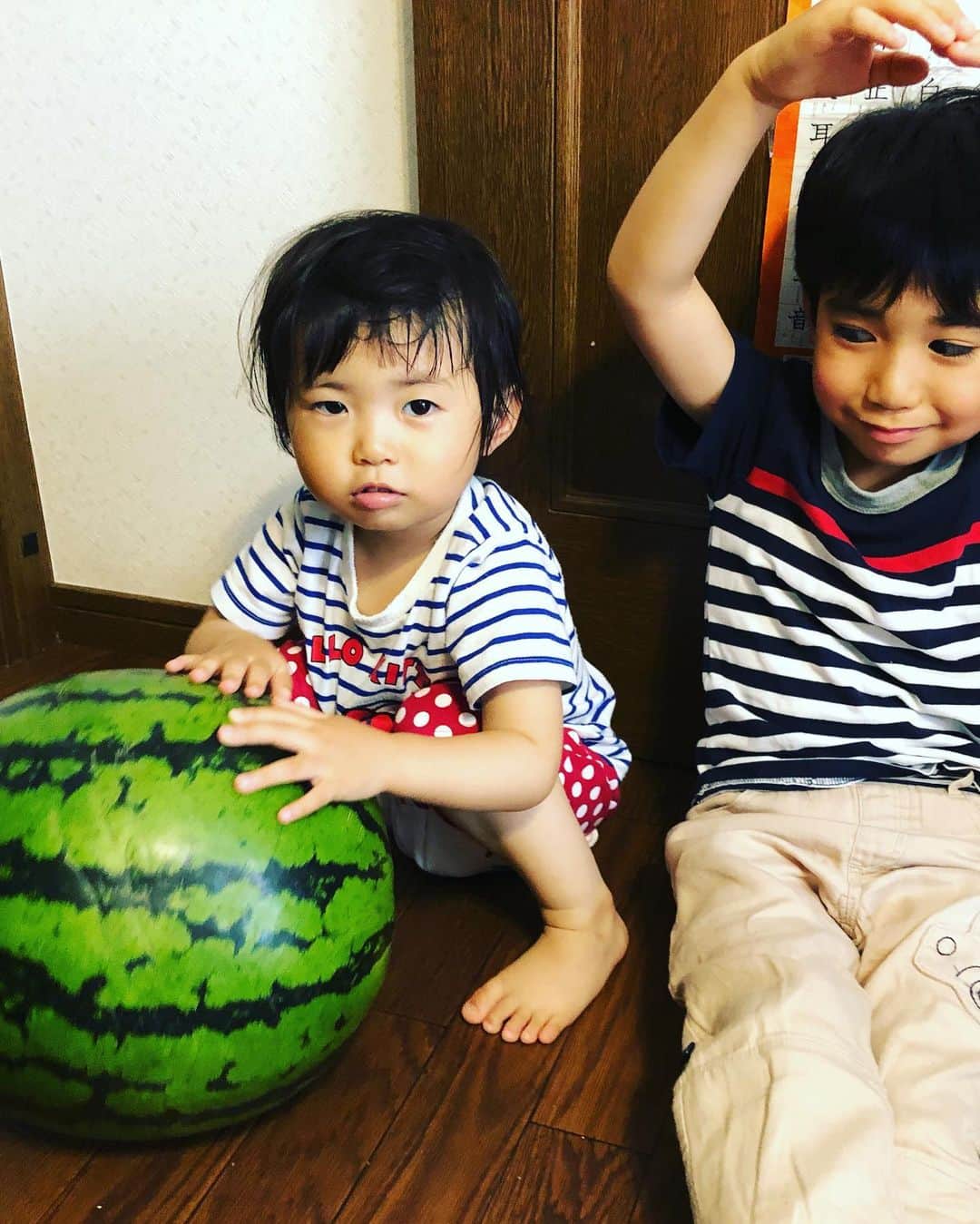 浅川稚広さんのインスタグラム写真 - (浅川稚広Instagram)「鳥取から今年も届いた、大きな大きな西瓜🍉🌟 重くて持ち上げられないくらい‼︎ 子供達と大きさ比較ー‼︎ この後、食べたら甘くてとっても美味しかったです♡  実家の父に、半分取りに来て〜💕🚗とお願いしていたけれど、息子君の食べっぷりが半端なくて、1/4の方をお裾分けで持ってってもらいましたww メロンも🍈一緒に届いたので、そちらは新盆の義父のお仏壇にお供えしました🌟 こちらも立派で楽しみ〜♬ #特大西瓜 #甘くて美味しい #夏のご馳走🍉 #2019年夏 #鳥取のおかあさんの手作り🍉 #感謝🌟」7月14日 3時35分 - chiffy1110