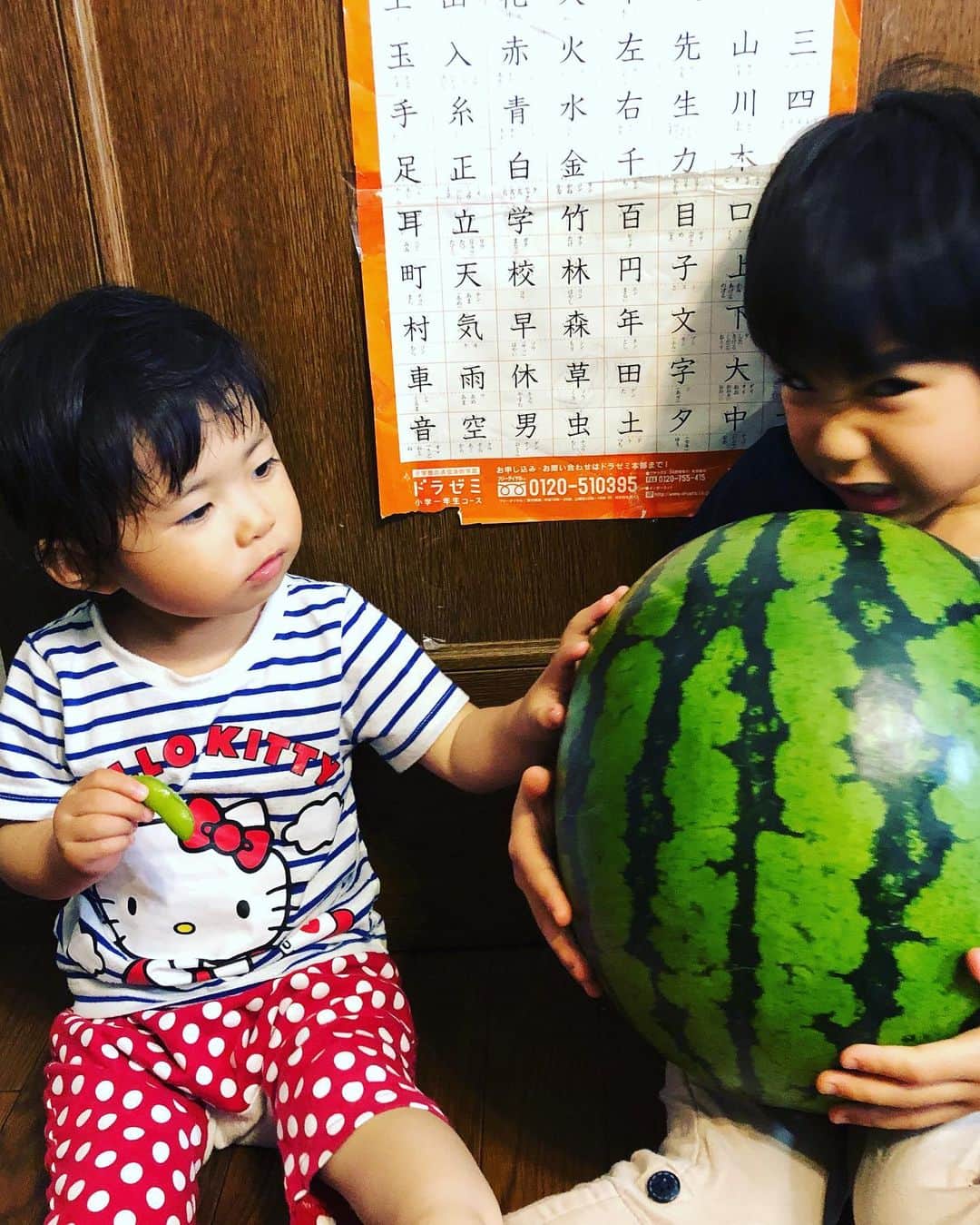 浅川稚広さんのインスタグラム写真 - (浅川稚広Instagram)「鳥取から今年も届いた、大きな大きな西瓜🍉🌟 重くて持ち上げられないくらい‼︎ 子供達と大きさ比較ー‼︎ この後、食べたら甘くてとっても美味しかったです♡  実家の父に、半分取りに来て〜💕🚗とお願いしていたけれど、息子君の食べっぷりが半端なくて、1/4の方をお裾分けで持ってってもらいましたww メロンも🍈一緒に届いたので、そちらは新盆の義父のお仏壇にお供えしました🌟 こちらも立派で楽しみ〜♬ #特大西瓜 #甘くて美味しい #夏のご馳走🍉 #2019年夏 #鳥取のおかあさんの手作り🍉 #感謝🌟」7月14日 3時35分 - chiffy1110