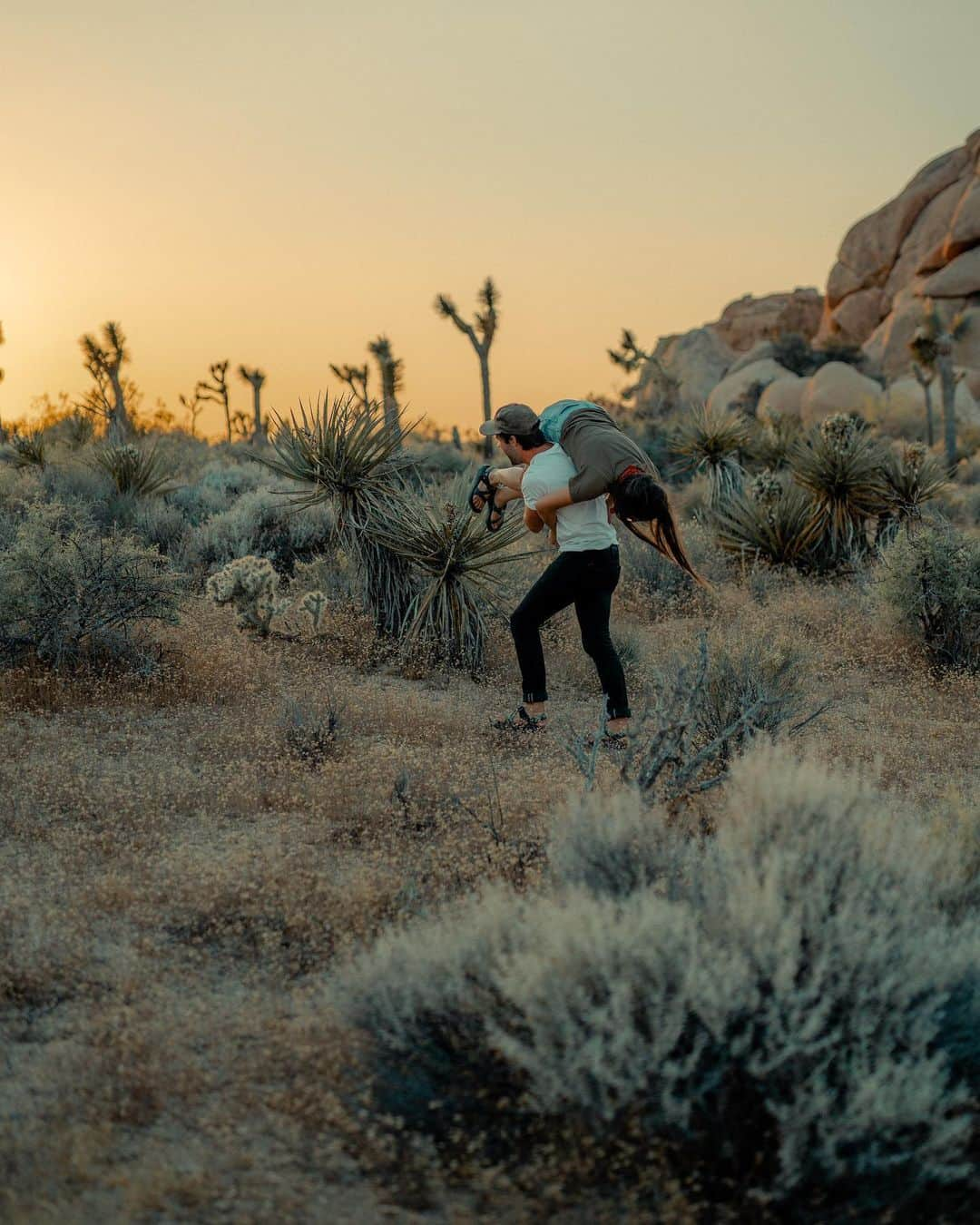 FOLKさんのインスタグラム写真 - (FOLKInstagram)「In the current issue of FOLK @nathanomalley shares a photo essay from Iceland. These however are some of his photos from Joshua Tree. You can get the new issue on our website (link in profile)」7月14日 3時44分 - folkmagazine