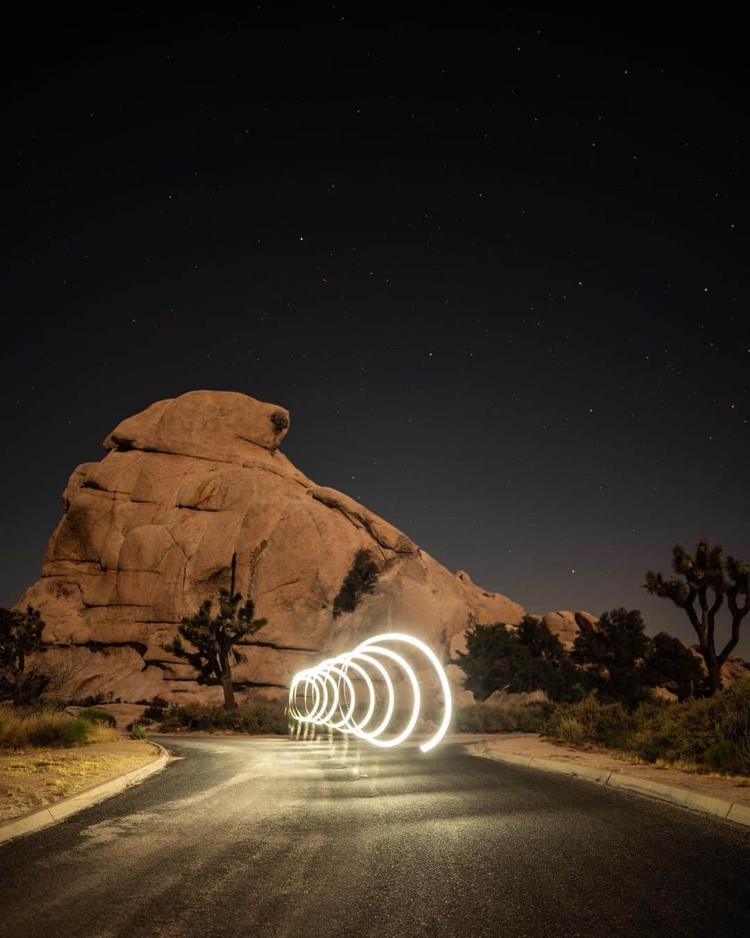 FOLKさんのインスタグラム写真 - (FOLKInstagram)「In the current issue of FOLK @nathanomalley shares a photo essay from Iceland. These however are some of his photos from Joshua Tree. You can get the new issue on our website (link in profile)」7月14日 3時44分 - folkmagazine