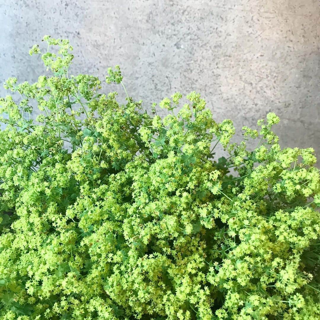 増山敬子のグルメインスタ