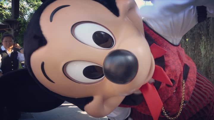 のインスタグラム：「🇫🇷フランス🇫🇷﻿ ﻿﻿ ディズニーランドパリ﻿ ﻿﻿ ミッキーグリ﻿ 超絶ミッキーが神対応だった😭﻿ やっぱり世界の大スターは違う！！！ ﻿ ﻿ #フランス旅行 #フランス #パリ #女子旅 #France #paris #旅muse_paris #tabijyomap_paris #旅行好きな人と繋がりたい #ヨーロッパ旅行 #タビジョ #旅muse #海外ディズニー #パリディズニー」