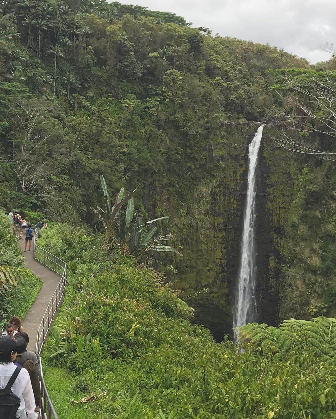 荒川れん子さんのインスタグラム写真 - (荒川れん子Instagram)「small rainbow in Akaka Falls🌈 アカカ滝では滝底にうっすら虹が😊 ここ、運動嫌いの私にはちょうど良い、超お気軽コース😆 でも見応えはあるし、自然を満喫できて大満足✨ . . #hawaii #bigisland #aloha #lovehawaii #rainbow #luckywelivehawaii #hawaiilife #travel #waterfall #cafe #nature #lifeisajourney #hawaiistagram #instahawaii #ハワイ #ハワイ島 #ハワイ生活 #旅 #ハワイ好き #ハワイ旅行 #仕事 #ハナコ #ハワイ情報 #ハワイおすすめ #自然 #滝 #お手軽 #ハイキング #初心者向け #🌈」7月14日 15時59分 - renren_hawaii