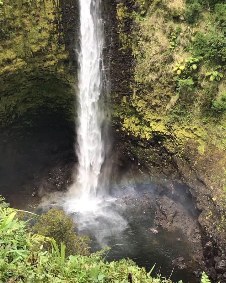 荒川れん子のインスタグラム：「small rainbow in Akaka Falls🌈 アカカ滝では滝底にうっすら虹が😊 ここ、運動嫌いの私にはちょうど良い、超お気軽コース😆 でも見応えはあるし、自然を満喫できて大満足✨ . . #hawaii #bigisland #aloha #lovehawaii #rainbow #luckywelivehawaii #hawaiilife #travel #waterfall #cafe #nature #lifeisajourney #hawaiistagram #instahawaii #ハワイ #ハワイ島 #ハワイ生活 #旅 #ハワイ好き #ハワイ旅行 #仕事 #ハナコ #ハワイ情報 #ハワイおすすめ #自然 #滝 #お手軽 #ハイキング #初心者向け #🌈」