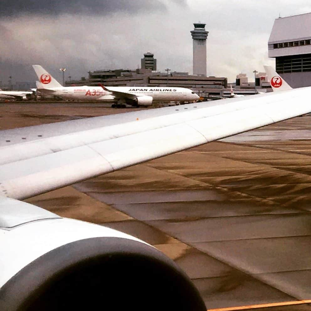 金子三勇士さんのインスタグラム写真 - (金子三勇士Instagram)「Off to Fukuoka @japanairlines_jal #A350 #B763 #日本航空 #羽田空港 #出発 #飛行機 #ピアニスト #金子三勇士 #演奏旅行 #JapanAirlines #JAL #OneworldEmerald #JGCDiamond #Pianist #MiyujiKaneko #Ontour #HanedaAirport #Taxiway #Tokyo #flyJal」7月14日 16時12分 - miyujikaneko_official