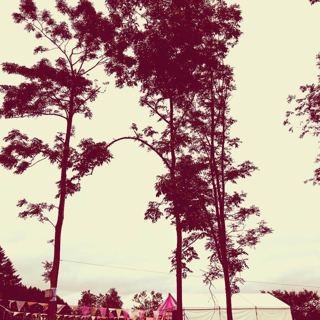 タクマ さんのインスタグラム写真 - (タクマ Instagram)「ジョインアライブ、今G-FREAKFACTORYがライブやってます。"ダディダーリン"は優しくて切なくて強くて弱くて現実の様で夢の様だ。」7月14日 16時25分 - takumamitamura