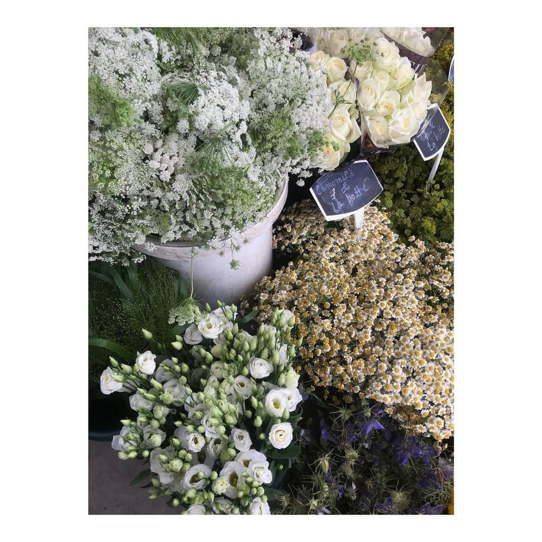 アリシア・デブナム・キャリーのインスタグラム：「Fleurs de France」
