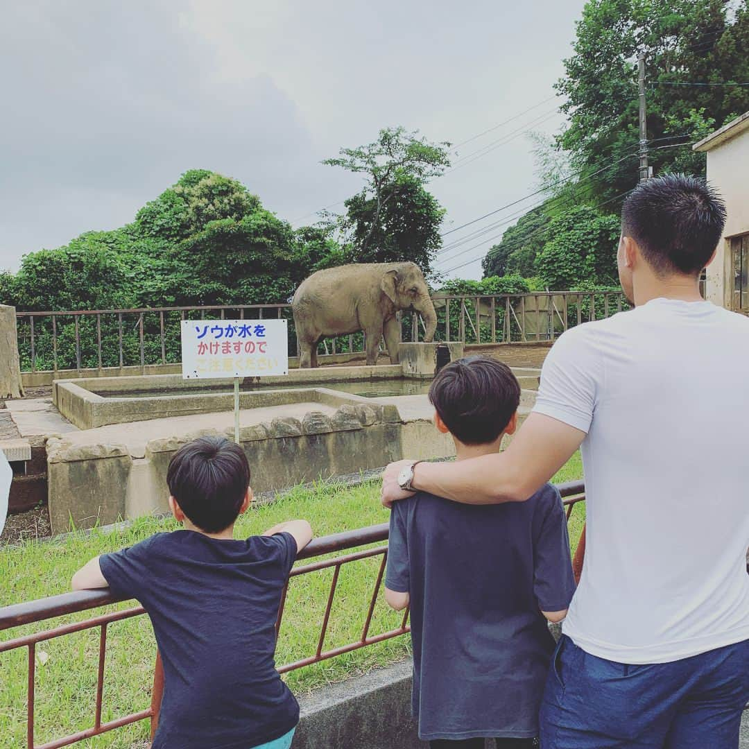 岡崎慎司さんのインスタグラム写真 - (岡崎慎司Instagram)「In 日本平動物園🦁 みんな朝に弱いのかな？笑 孔雀だけは珍しく羽広げてた。笑 のんびり過ごせる日本平動物園はおすすめです😊👍 #家族連れに💯#休日に💯#シンプルで💯」7月14日 8時55分 - shinjiokazaki_official