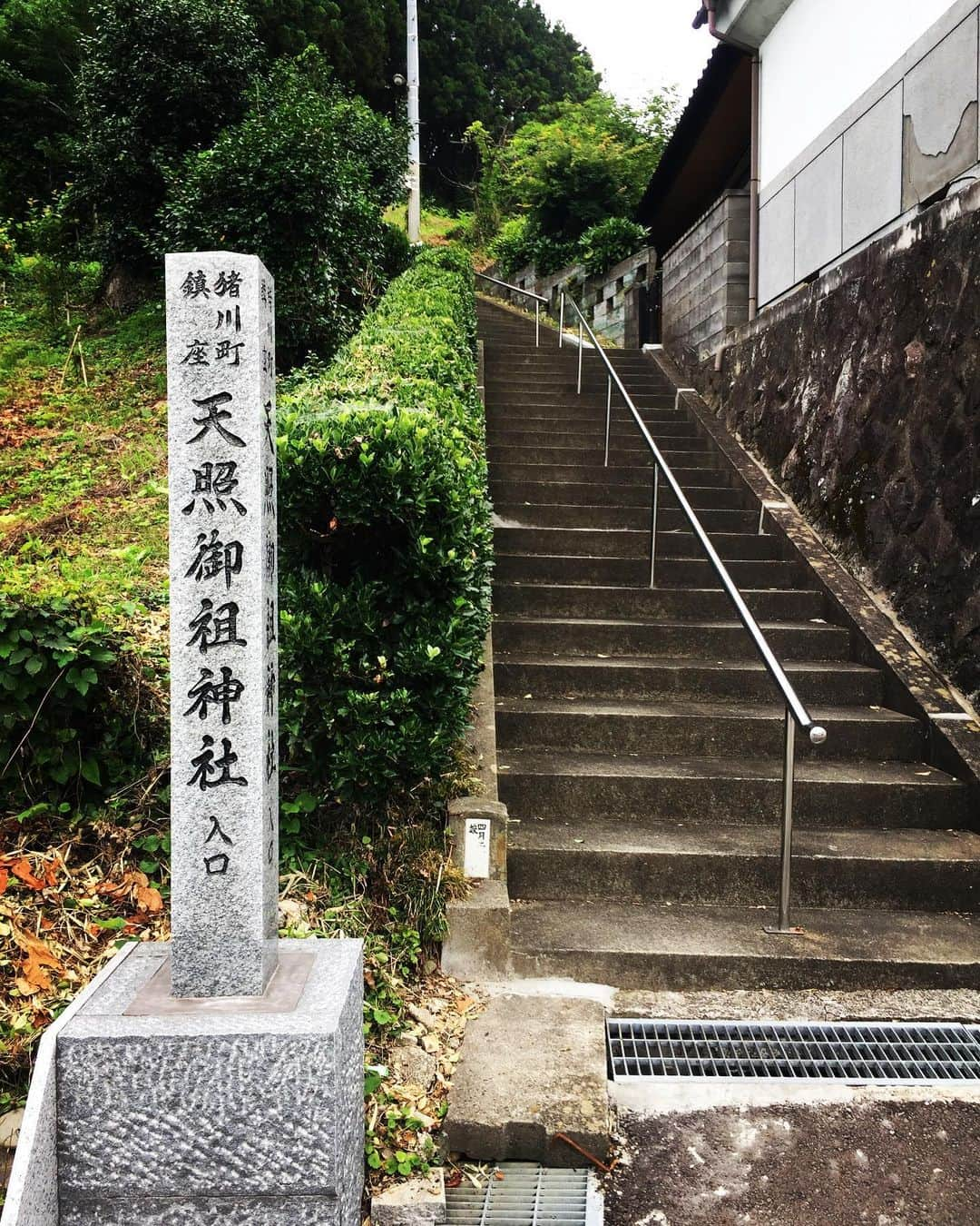 橋本塁さんのインスタグラム写真 - (橋本塁Instagram)「岩手県大船渡市での朝ラン終了！12km！さて、KESEN ROCK FES2日目会場へ！ #サウシュー #stingrun #run #running  #adidas #朝ラン #ランニング #ラン #adidasrunning #adidasultraboost #streetrunning #アディダス #kesenrockfes #krf #ケセンロック #ケセン #岩手県 #大船渡市  https://www.instagram.com/tv/BxtWD0jh0kZ/?igshid=1rn1b0j75451f」7月14日 8時42分 - ruihashimoto