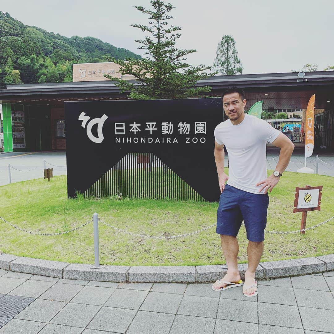 岡崎慎司のインスタグラム：「In 日本平動物園🦁 みんな朝に弱いのかな？笑 孔雀だけは珍しく羽広げてた。笑 のんびり過ごせる日本平動物園はおすすめです😊👍 #家族連れに💯#休日に💯#シンプルで💯」