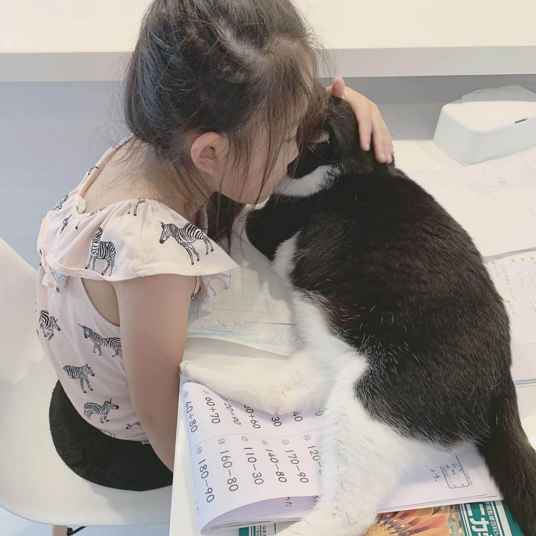 korokoronyaさんのインスタグラム写真 - (korokoronyaInstagram)「✶*∗ 14 Jul, 2019  Brother👧🏻🐱 * パパに叱られて ふてくされてる姉ちゃん👧🏻に 甘えて慰めてる弟🐱の過去写真。 は〜また雨だよ…☔️もういいよ〜😩 * #ごまとちびまめ」7月14日 9時37分 - korokoronya