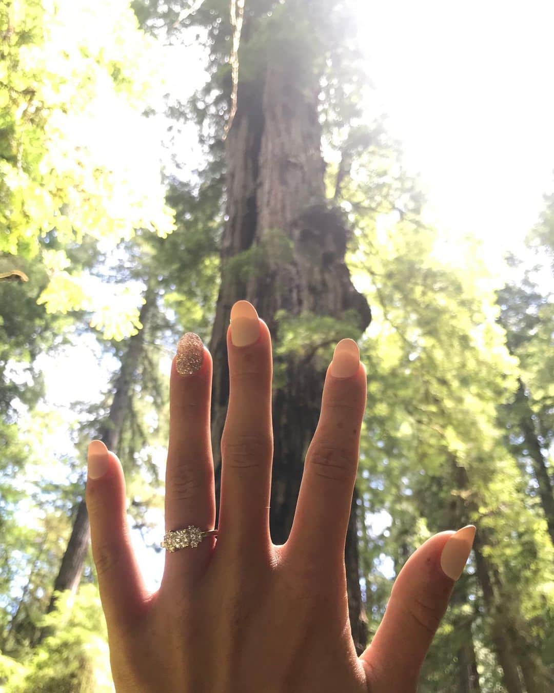 Breonne Rittingerさんのインスタグラム写真 - (Breonne RittingerInstagram)「Hiked into the Redwoods with my boyfriend and left with my fiancé! ❤️💍 #engaged #redwoods #fiance #cowan2020」7月14日 9時47分 - breonnecowan