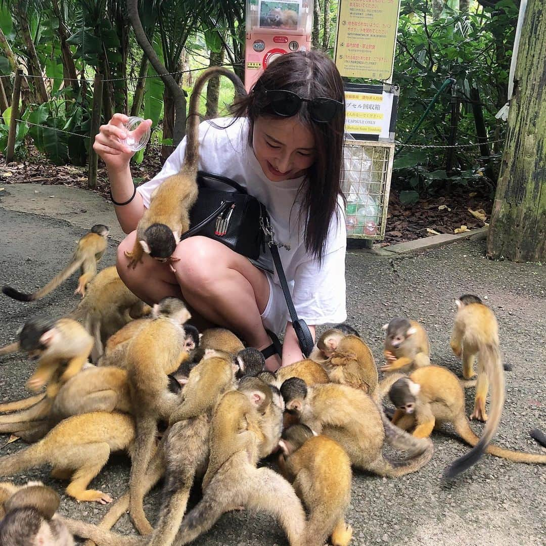 寒川綾奈さんのインスタグラム写真 - (寒川綾奈Instagram)「リス猿使いの真実。 全員必死w  #リスザル #石垣島 #沖縄 #リスザル園 #やいま村 #Squirrelmonkey #okinawa」7月14日 9時47分 - sogawaayana