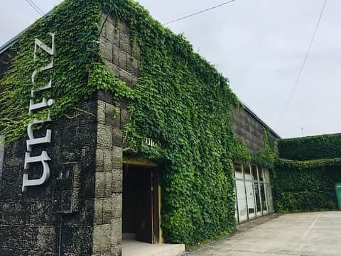 graf studioのインスタグラム