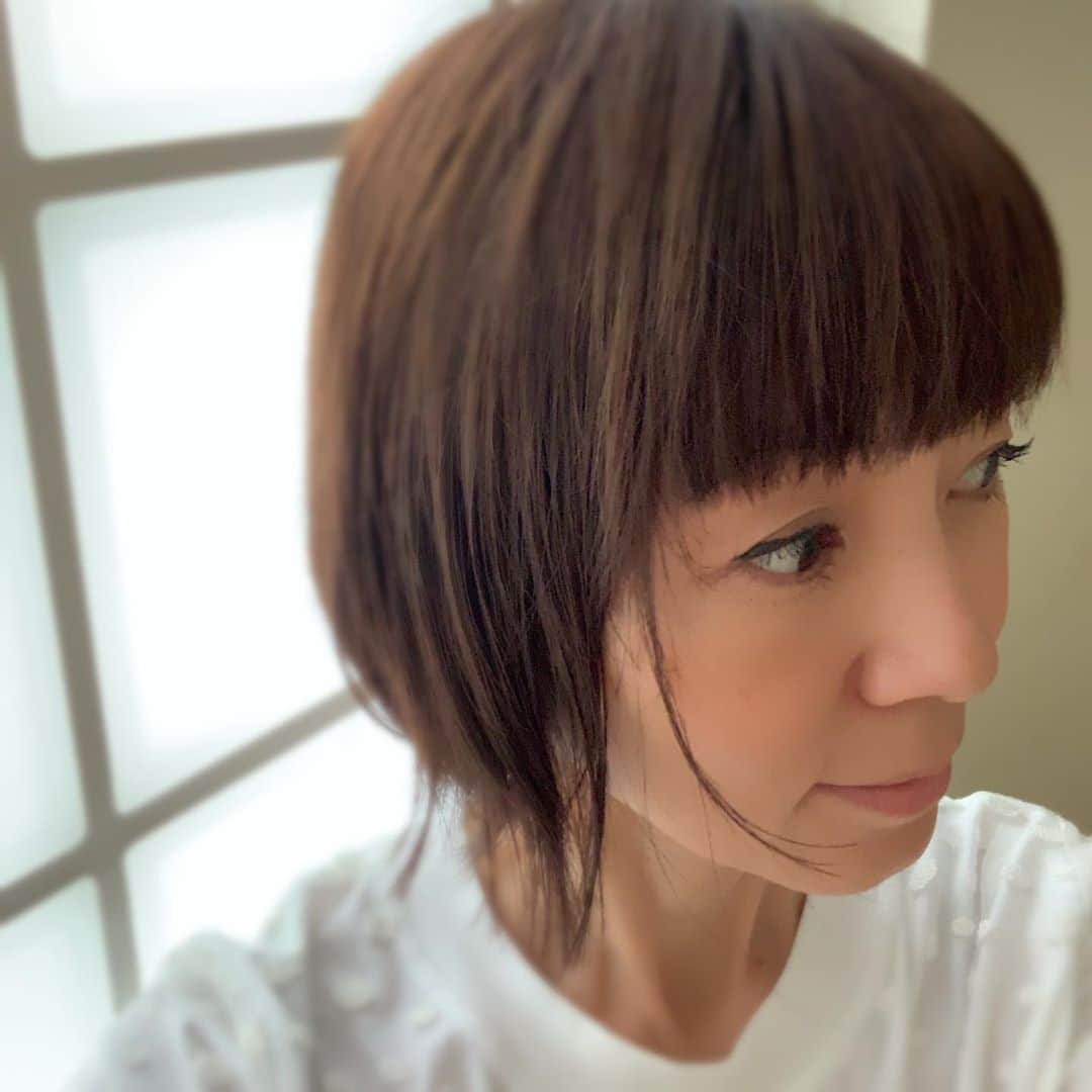 のインスタグラム：「髪の色、少し落ち着いた感じに。 前から見るとこのくらいの長さ。 ★ #雨の日曜日 #レミーはクッションに隠れる派 #これから映画観てきます #髪の色ってうまく撮れない」