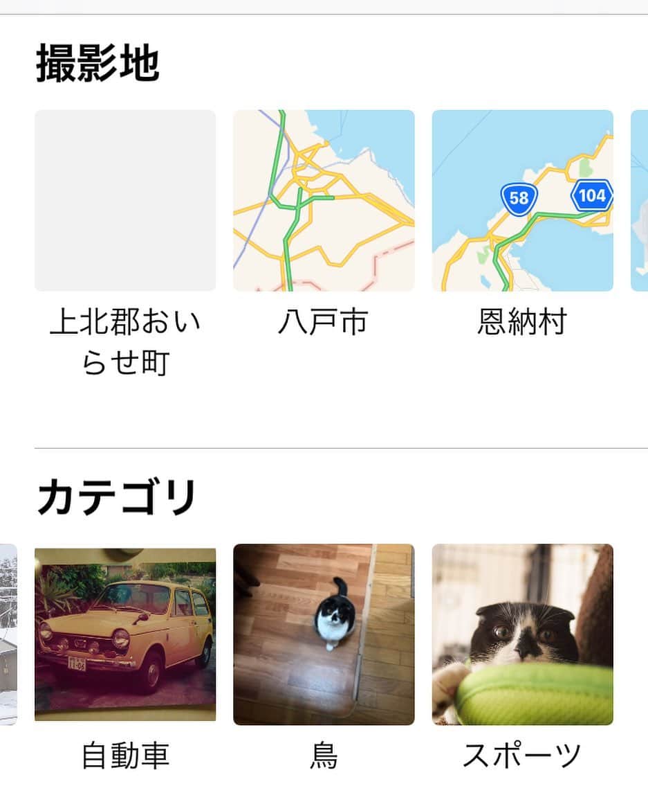 tiaichimaさんのインスタグラム写真 - (tiaichimaInstagram)「@nemuru_cat さんのように私もみてみた。 📱アルバムの検索の、カテゴリで、鳥(bird)とスポーツ(Sports)が、ムギ坊だった件  #ムギ坊はサッカーボール⚽️認識 #ムーギー #muugieeboy」7月14日 10時41分 - tiaichima