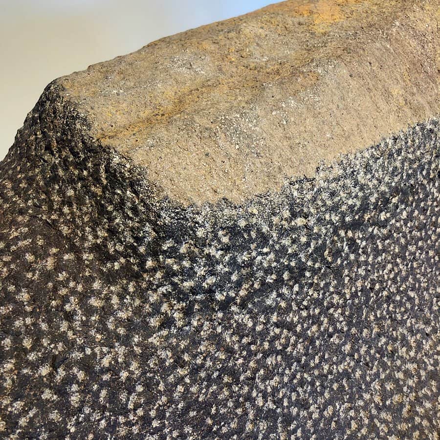 のインスタグラム：「・ Visiting The Noguchi Museum has been always like pilgrimaging to the shrine in NYC for me. ( as I went there right after 911 to pray and heal )  Besides that , to see this current exhibition “Noguchi and Hasegawa in Postwar Japan” ( till tomorrow !) was very important for me. Works and friendship of these two intrinsic exiles and global cosmopolitans. Their conversation about indigenous and foreign, traditional and modern resonate with my understanding and interest deeply.  There are too many beautiful things in the world I want to learn ! ・ どうしてもどうしても観たかった展覧会に間にあえた。長谷川三郎がイサム・ノグチに与えた影響、藝術と共通する世界観からの友情、日本を外から見つつ深く日本の真髄を敬する二人の会話、ああ響きまくり、学びたいことが多すぎる！ ・ ・ #IsamuNoguchi ＃イサムノグチ #SaburoHasegawa #長谷川三郎」
