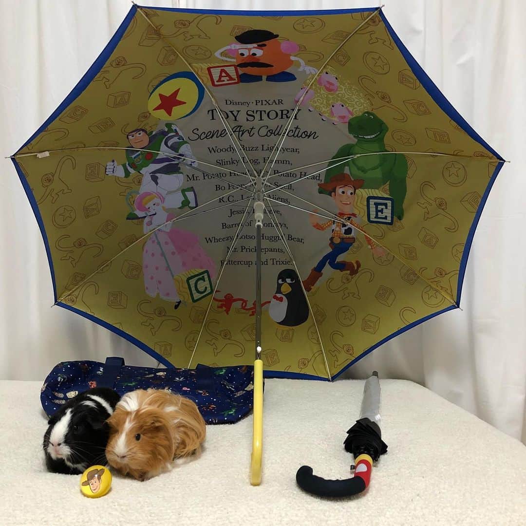てん（ものまね）さんのインスタグラム写真 - (てん（ものまね）Instagram)「雨だね～☔ 雨の日でもがんばれるように傘買ったんだ🌂 #トイストーリー と #ミッキー めちゃくちゃテンションあがる🤩 あと、いつか #ディズニーランド 行く時用にバッグも買ったん❣️ のほほ～ん🍵  #ディズニーストア」7月14日 11時23分 - tenkukku10