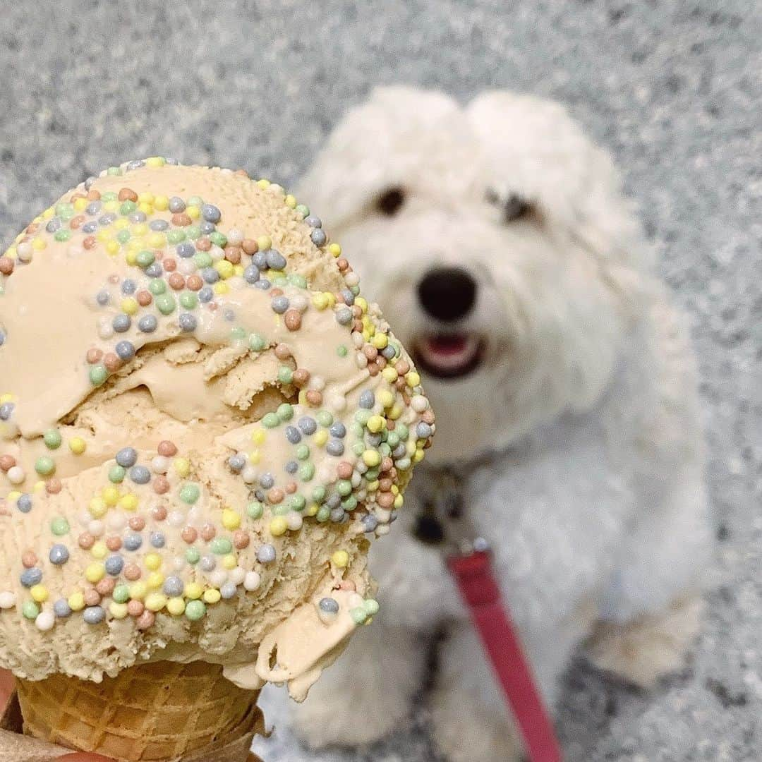 メリル・デイヴィスさんのインスタグラム写真 - (メリル・デイヴィスInstagram)「We like Earl Grey with rainbow sprinkles... what’s your flavor? 🌈🍦✨」7月14日 11時45分 - meryledavis