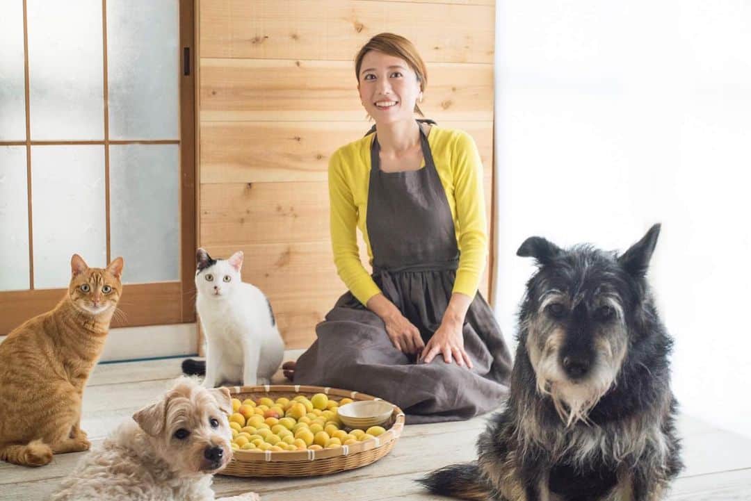 甲斐麻美のインスタグラム