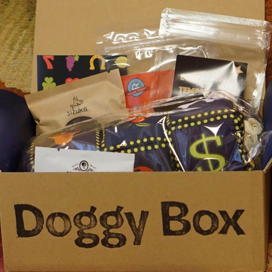 黒豆柴こむぎさんのインスタグラム写真 - (黒豆柴こむぎInstagram)「ボクがあごのせしているもの、なーんだ😆Doggy Box @doggybox_jp に入っていた、スロットマシーン🎰のおもちゃだよ。7月Boxのテーマは、カジノだって。一攫千金狙っちゃう❓このおもちゃ、引っ張り合いこして遊んでも楽しいけど、ふかふかだからあご枕にも良いのだ😂美味しいおやつも届いて、嬉しいな☺️2019.7.14  #doggybox #ドギボ #黒豆柴こむぎ #黒豆柴 #豆柴 #黒柴 #柴犬 #柴 #まめしば #しばいぬ #しば #mameshiba #kuroshiba #shibainu #shiba #shibalove #shibalovers #shibastagram #shiba_snap #shibasofinstagram #ふわもこ部 #pecoいぬ部 #いぬら部 #proudshibas #thedailyshibainu #ここ柴部 #いぬのきもち #todayswanko」7月14日 17時27分 - komugi_1207