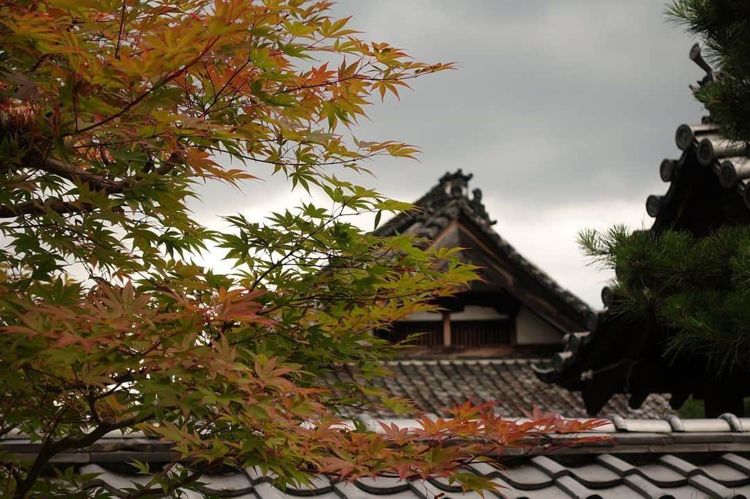 いぶくろ聖志さんのインスタグラム写真 - (いぶくろ聖志Instagram)「京都。曇の日。  #kyoto #camera #japan」7月14日 12時18分 - b.smpl