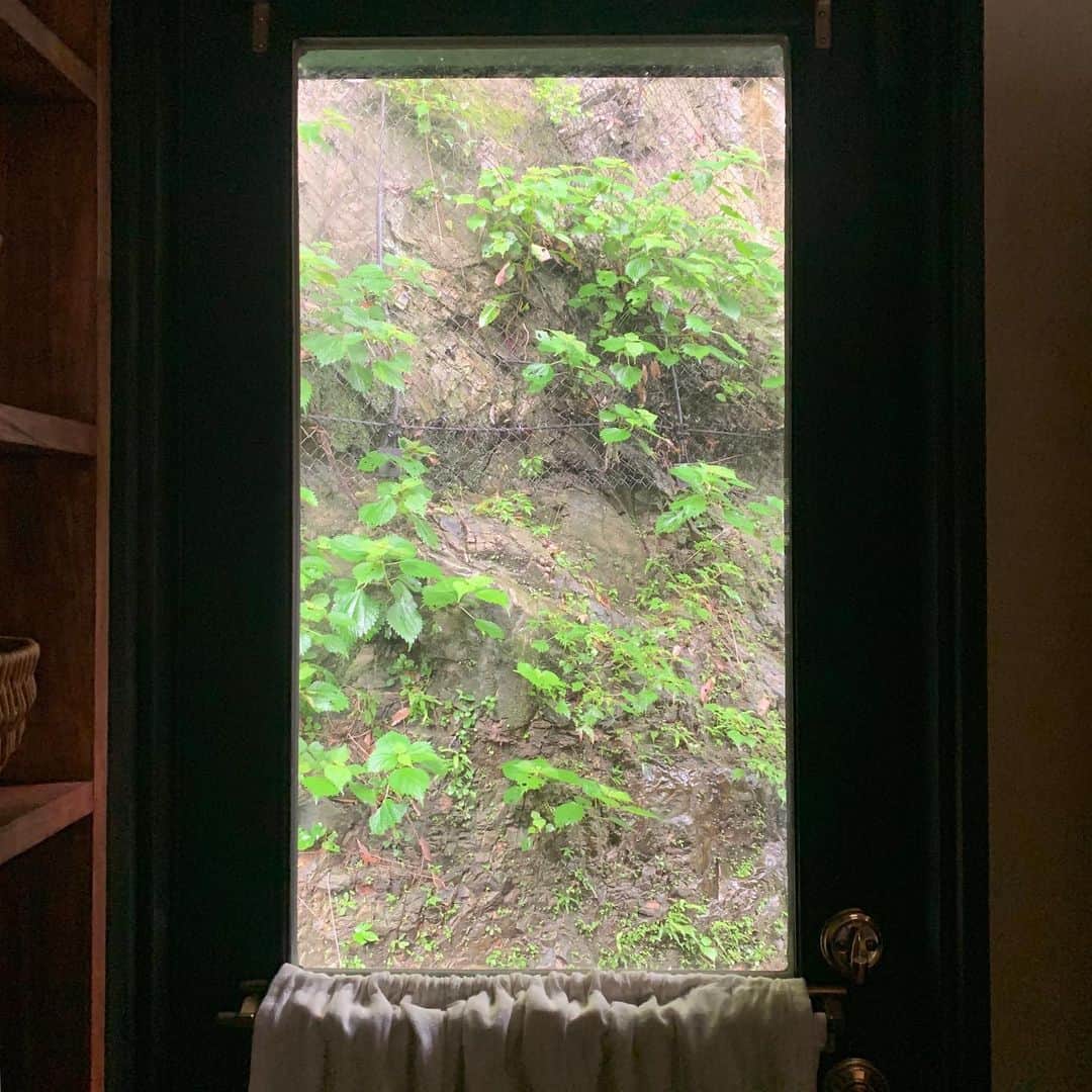 クリス智子さんのインスタグラム写真 - (クリス智子Instagram)「裏の崖が見えるように、勝手口のドア、上はガラスにしたのですが、予想以上にこの数年で緑が増え、こんな雨の日は、夏の豊かな緑が、いい絵に。  Love the backside window during the summer with rich green and rain.  #picturesque #rainyday  #window」7月14日 12時29分 - chris_tomoko