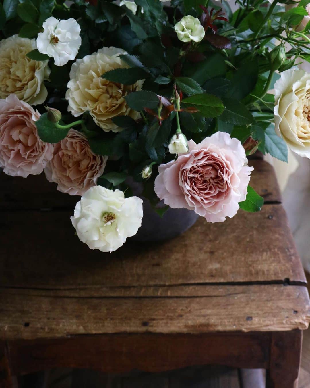masakiさんのインスタグラム写真 - (masakiInstagram)「Sun.14 Jul.2019 花岡じぃが市川バラ園さんのバラを届けてくれました♡ 今年最後のバラだそうです。 香り高く美しい。 オードリーもいます。 じぃの花入れと優雅なバラのコラボレーション♡」7月14日 12時40分 - mogurapicassowols