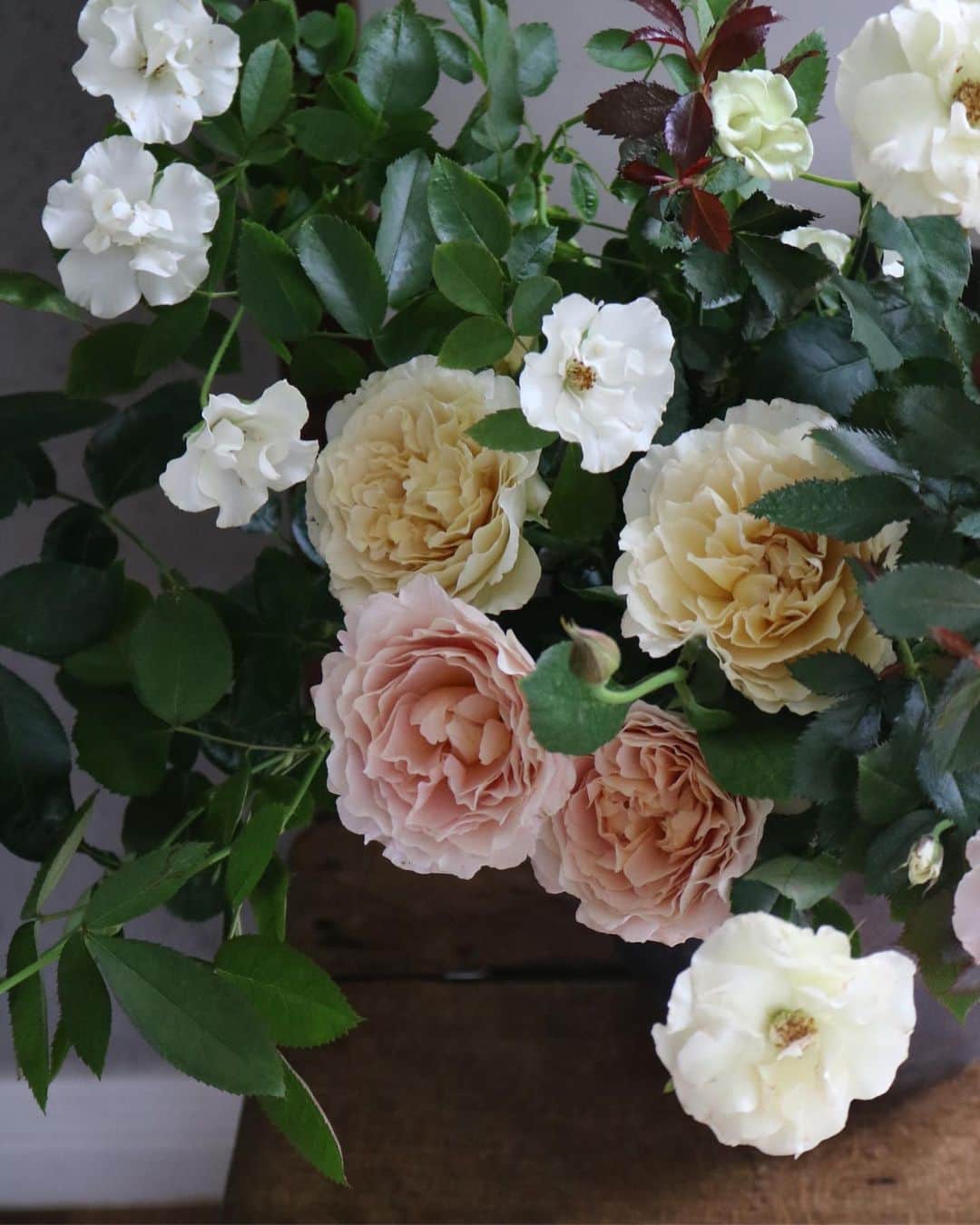 masakiさんのインスタグラム写真 - (masakiInstagram)「Sun.14 Jul.2019 花岡じぃが市川バラ園さんのバラを届けてくれました♡ 今年最後のバラだそうです。 香り高く美しい。 オードリーもいます。 じぃの花入れと優雅なバラのコラボレーション♡」7月14日 12時40分 - mogurapicassowols