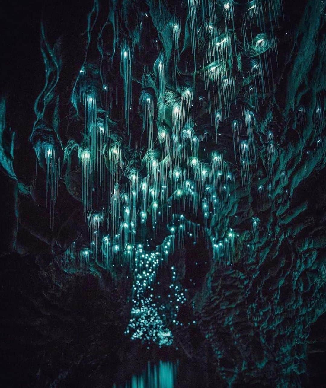 Wonderful Placesさんのインスタグラム写真 - (Wonderful PlacesInstagram)「Waitomo Glowworm Caves - New Zealand ✨❤️❤️❤️✨ . Pictures by ✨✨@shaun_jeffers✨✨ #wonderful_places for a feature ❤️」7月14日 13時29分 - wonderful_places