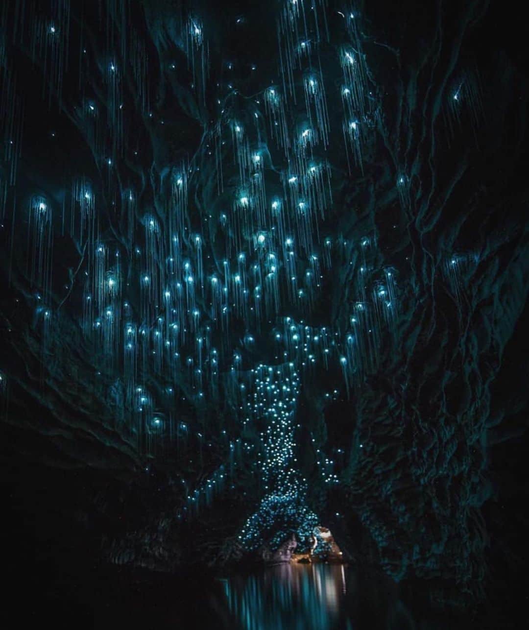Wonderful Placesさんのインスタグラム写真 - (Wonderful PlacesInstagram)「Waitomo Glowworm Caves - New Zealand ✨❤️❤️❤️✨ . Pictures by ✨✨@shaun_jeffers✨✨ #wonderful_places for a feature ❤️」7月14日 13時29分 - wonderful_places