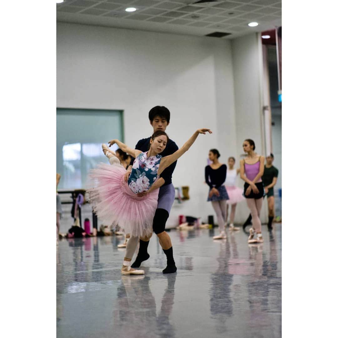 峯岸伽奈さんのインスタグラム写真 - (峯岸伽奈Instagram)「. . . last day of Ballet under the stars 2019!  switching role to white swan.🦢 📷@takechi_08 🙏  beautiful leotard👗@sayurikubota💓  @singaporedancetheatre #balletunderthestars #buts2019 #singaporedancetheatre #swanlake #バレエ　#バレリーナ」7月14日 13時31分 - minegishikana_