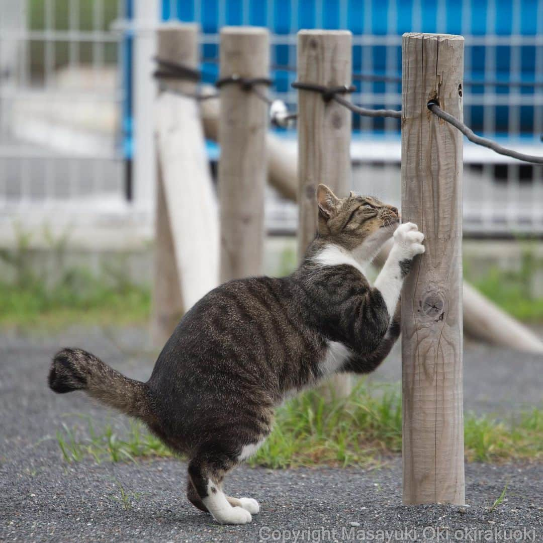 Masayukiのインスタグラム