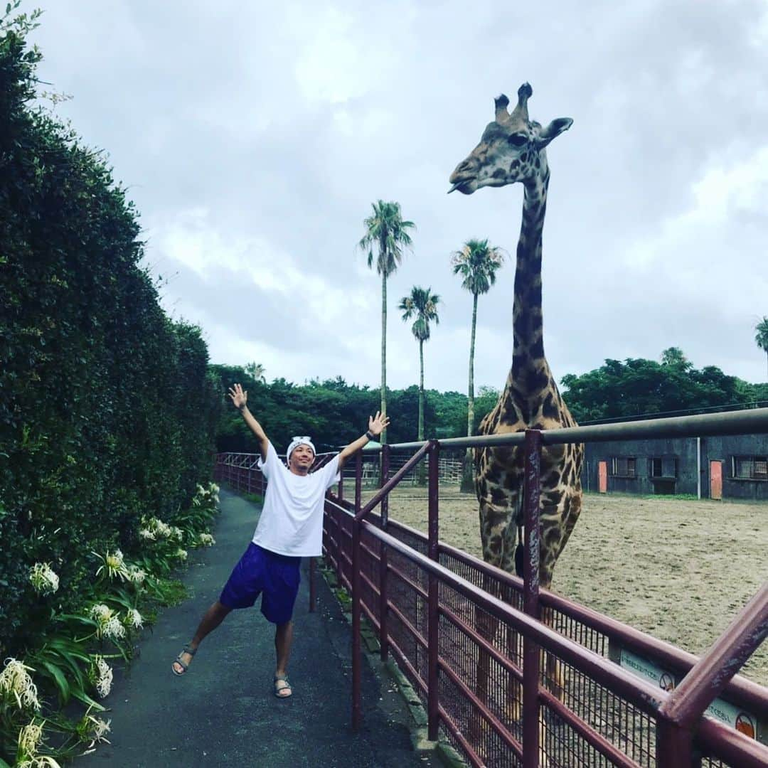 田中順平のインスタグラム：「キリンと俺🦒 . . . . . . 小学生ぶり？ 地元の動物園に行ったよ . . . #動物園 #キリン #フェニックス動物園 #宮崎 #宮崎観光」