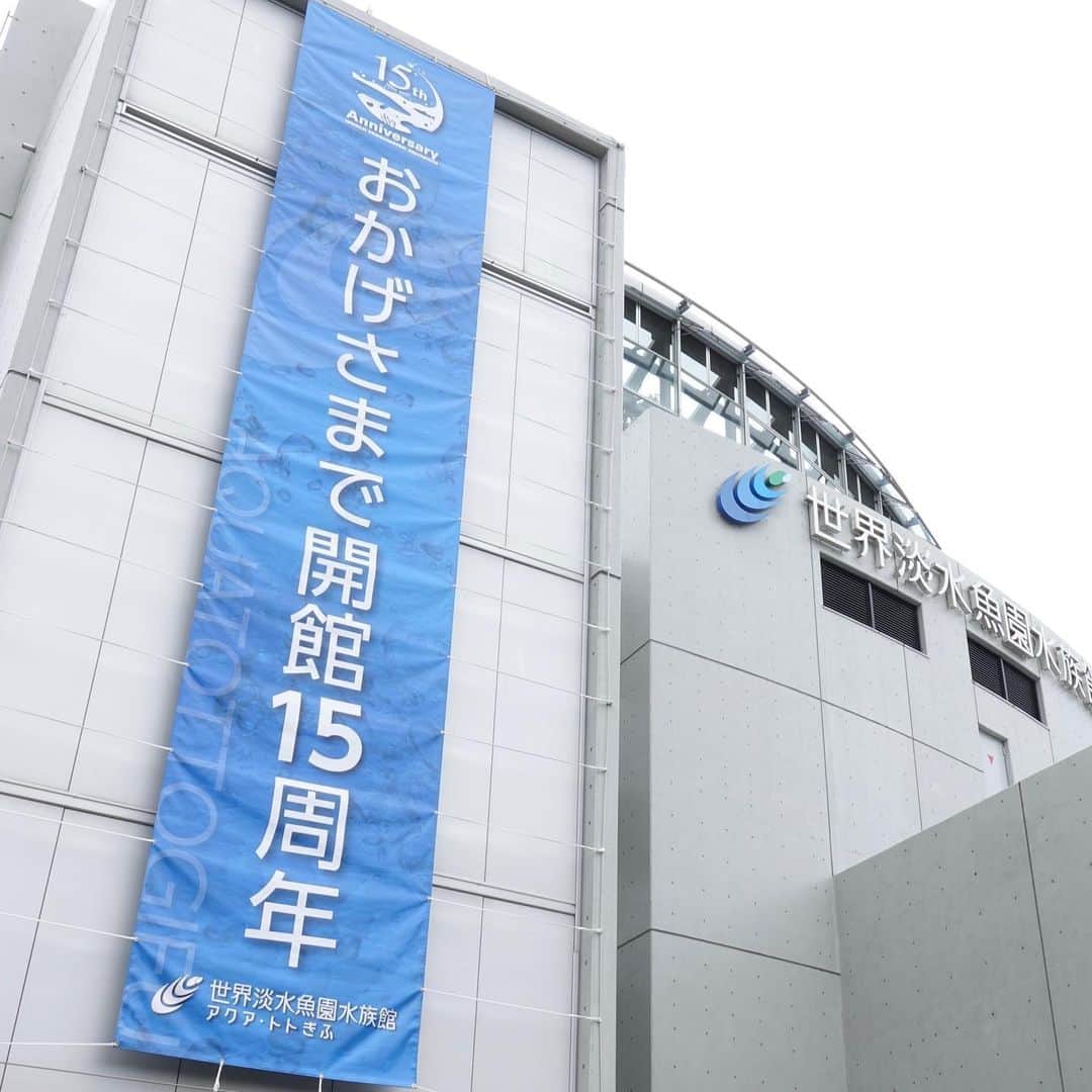 世界淡水魚園水族館 アクア・トト ぎふのインスタグラム：「おかげさまで開館15周年！  本日は世界淡水魚園水族館アクア・トトぎふの開館記念日です。 おかげさまで開館15周年を迎えることができました。  これもひとえに皆様のご愛顧の賜物と心より感謝申し上げます。  今後も皆様に愛される水族館を目指して努力してまいりますので、これからもアクア・トトぎふをどうぞよろしくお願い申し上げます。 #アクアトトは15周年」