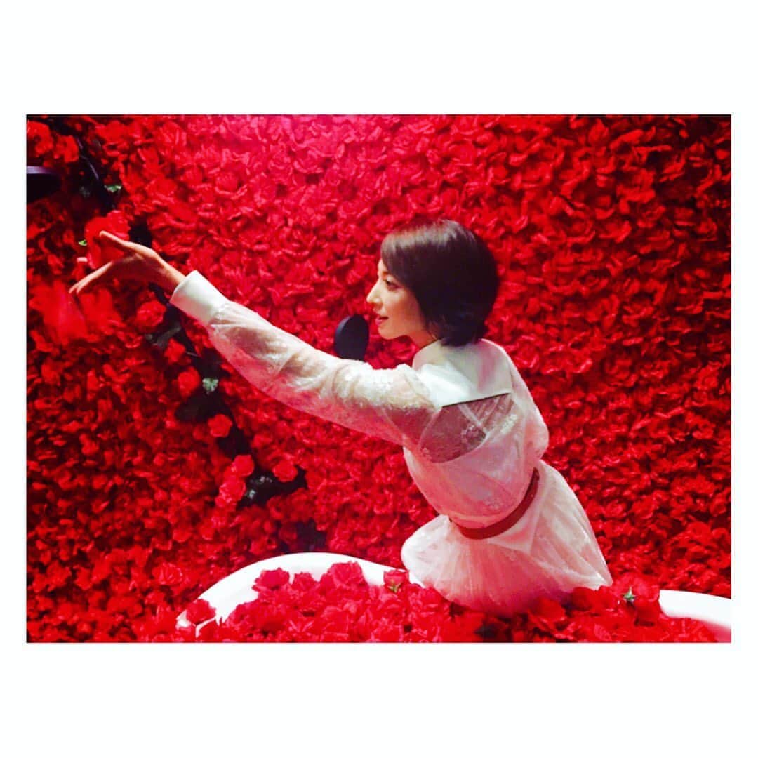 望月理恵さんのインスタグラム写真 - (望月理恵Instagram)「ノリノリですみません。  4千本のバラに囲まれてます。」7月14日 14時50分 - mochiee28