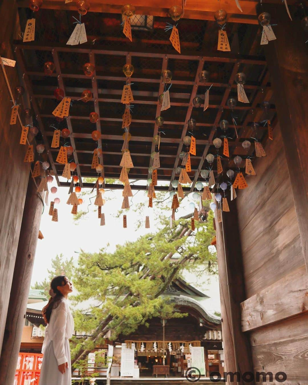 大桃美代子さんのインスタグラム写真 - (大桃美代子Instagram)「新潟市の白山神社で風鈴祭り。  三枚目の風の音をきいてみてくださいね。 平和の風鈴です。  #新潟市#白山神社#風鈴祭り#風鈴#夏祭り#funtotrip #instatravel #discoverjapan #夏#白山#niigatapic #地方旅#lw7月の旅#パワースポット#亀田日和」7月14日 14時51分 - miyoko_omomo