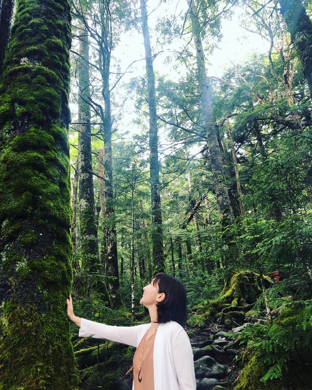 小林佳果さんのインスタグラム写真 - (小林佳果Instagram)「まるで、ジブリの世界。 神秘的！  #苔の森 #もののけの森 #小海町 #長野 #白駒の池」7月14日 15時07分 - keika_kobayashi