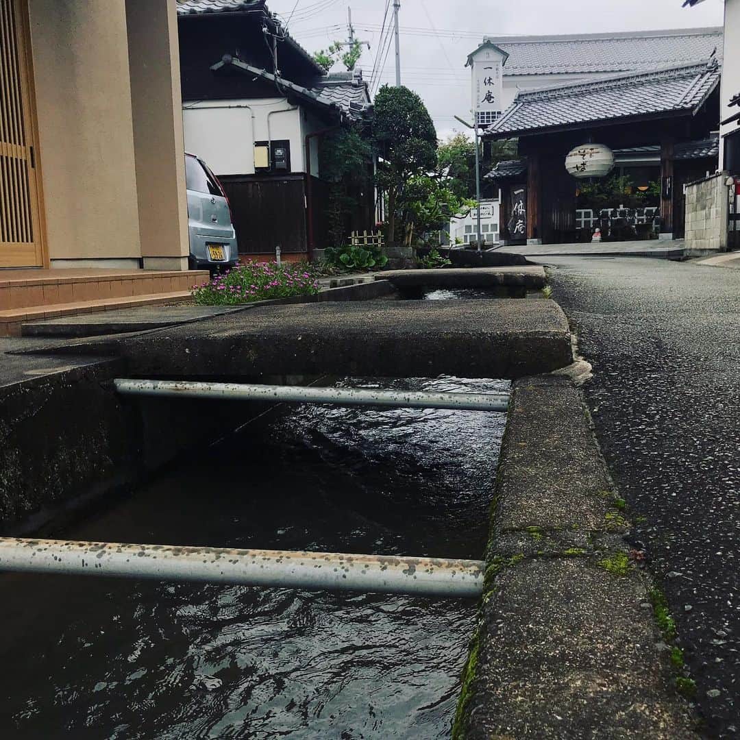 TOGGYのグルメインスタ