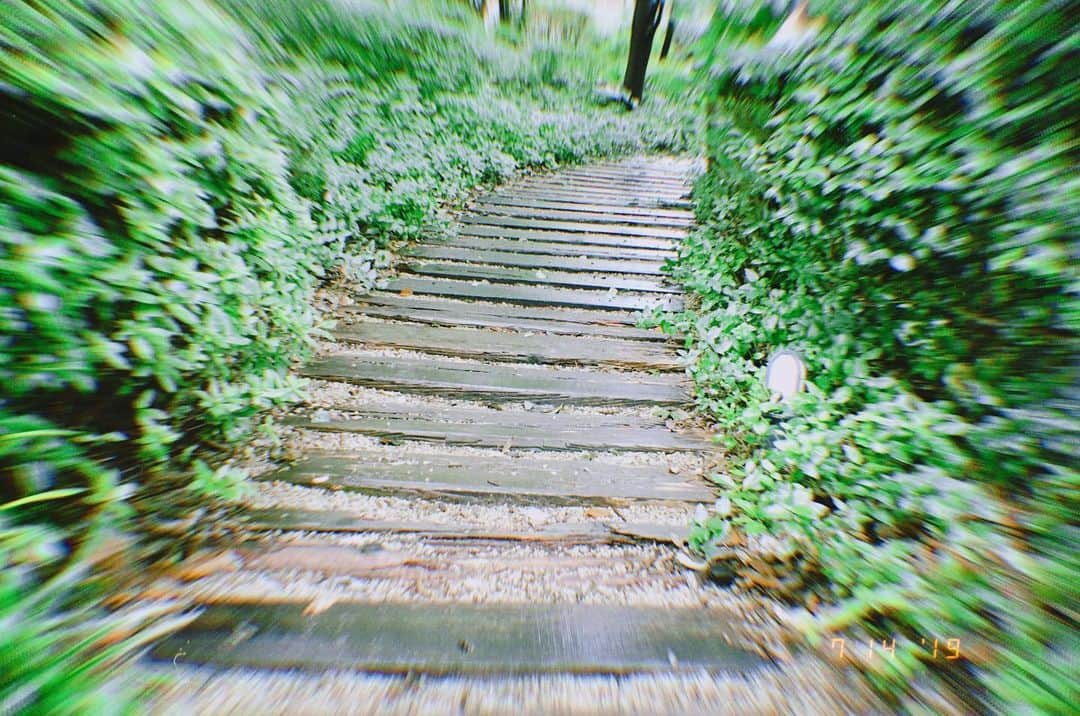 のインスタグラム：「🏃‍♂️🏃‍♂️🏃‍♂️ 雨の合間に「DREAMS」を聴きながらいつものコースを6.5km。 アルバムのトータルタイムが43分なので僕のジョギングにぴったりなのです。 昔風に言えばC46テープにも収まります📼」