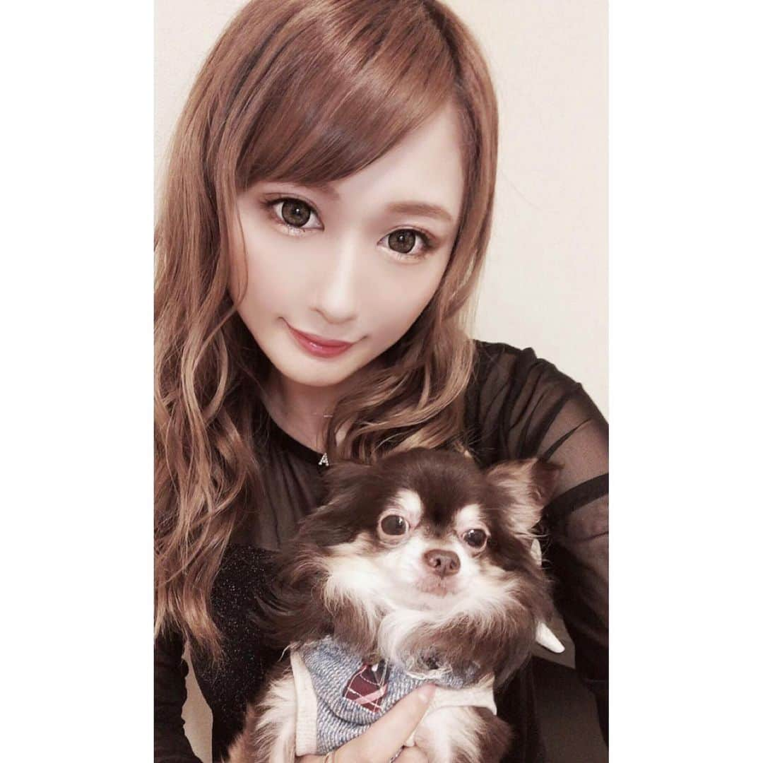 七瀬美月さんのインスタグラム写真 - (七瀬美月Instagram)「ただいまろ🐶💓 おやすみなさい😴💤🌙 .  #gn#dog#愛犬#チワワ#家族#ヨレ#日曜日 #イッヌ#わんこ#わんわん#いぬ#Chihuahua #フィルター#beautyplus」7月15日 2時12分 - yskwask1114