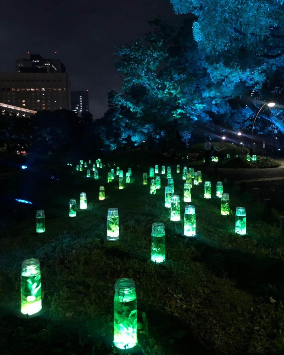 冨張愛さんのインスタグラム写真 - (冨張愛Instagram)「夏のイルミネーション♡ 日比谷公園のビーズハーバリウムへ☺︎ 幻想的で とっても綺麗でした✨ SNS投稿でハーブティを頂けるのですが 夏にぴったりの美味しいお茶を飲みながらの 夜のお散歩は最高🌿 森林に囲まれて すごく癒されるので 皆さんもぜひ立ち寄って ロマンチックな 夏の夜を 楽しんでみてください👒 * #instagood #illumination #lightup #hibiya #tokyo #herbarium #park #pr #日比谷公園 #ハーバリウム #ライトアップ #ビーズハーバリウム #ニュービーズ #夜景 #夏のイルミネーション」7月14日 19時32分 - megumitomihari