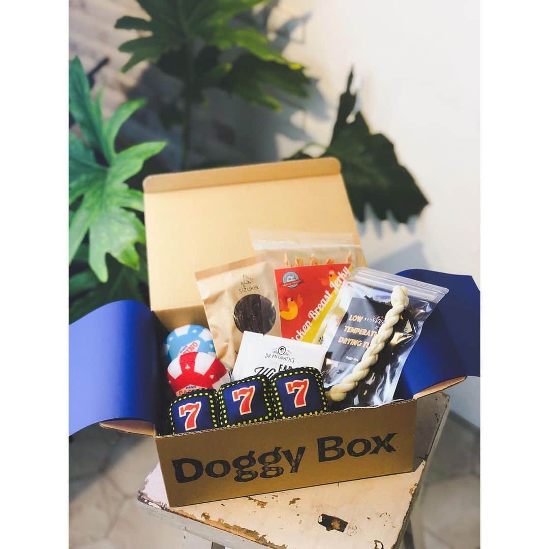 juntowaさんのインスタグラム写真 - (juntowaInstagram)「@doggybox_jp が届いたよー！ カジノがテーマでおもちゃが可愛すぎる！#doggybox#ドギボ ・ オヤツも国産のジャーキーとか 美味しそうなものが！アレルギーも避けられるので我が家は小麦🙅‍♀️で！」7月14日 19時32分 - juntowa