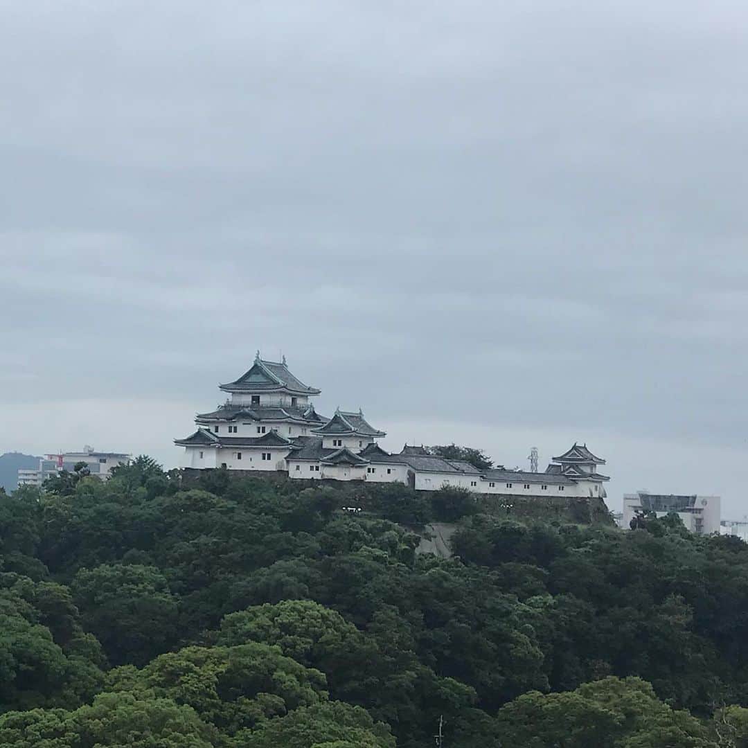 Ju-kenのインスタグラム：「大黒組、地方遠征終焉の地、和歌山へ上陸♫ 和歌山城、かなりカッコええです🏯✨ #musicmuscletour2019 #和歌山城 #japanesecastle #dayandnight」