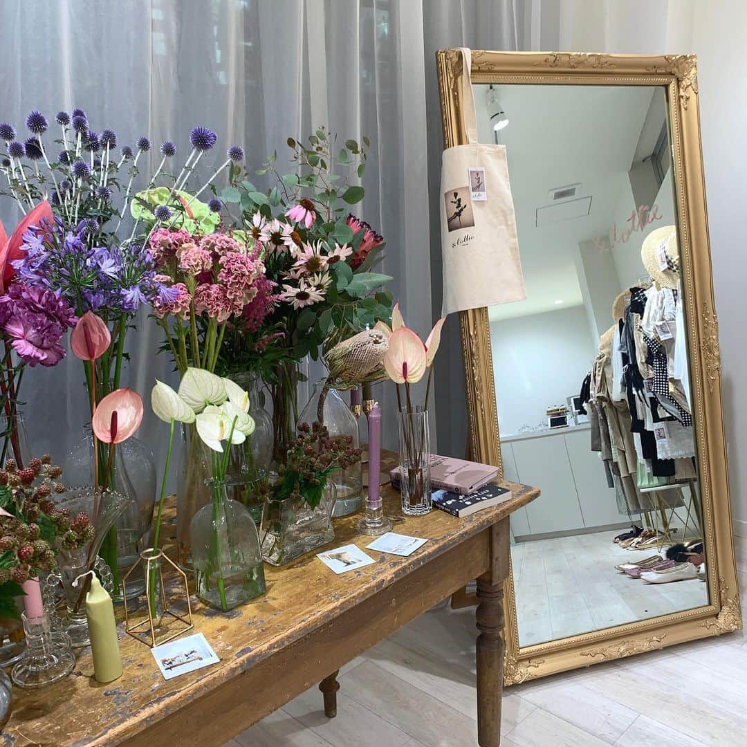 pipilottieのグルメインスタ