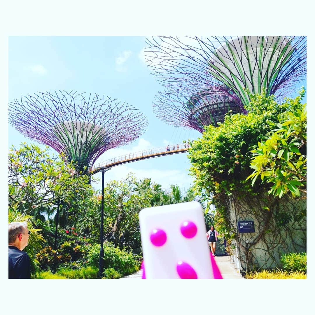 UHA味覚糖公式アカウントさんのインスタグラム写真 - (UHA味覚糖公式アカウントInstagram)「こんばんわい～🌼🐘 今日もうシンガポールから  日本🗾へ帰るねん〰️🌈 何かあっという間やったわい～  寂しいわ～🐸💦 しっかり シンガポールの観光で有名な  ガーデンズバイザベイって言う所も、  マリーナベイサンズとかにも  登ったで～😆🌼 ほなもう空港✈️向かわないと アカンからバイバイやで😻😽✴ ほな、次会うときは  日本🗾でな～🎵 #ヤサオさんのinsta久しぶりに投稿にどきどきしたわい😲💨 #ぷっちょ君のシンガポール旅行紀 #ぷっちょ君の日常 #ぷっちょ君の毎日」7月14日 20時21分 - uha_mikakuto