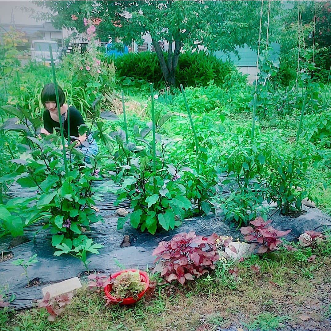 黒川沙良さんのインスタグラム写真 - (黒川沙良Instagram)「ここはおばあちゃんの畑です🍅 小さいころはここが秘密基地だったなぁ🌷 ・ ・ #収穫盛りだくさんの夏休みが大好きだった #とくに枝豆が絶品 #秘密基地 #冬は大雪でかまくら作り #思い出」7月14日 20時33分 - kurokawa_sala